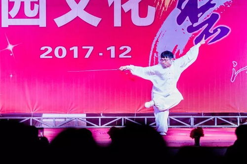 第28届文化艺术节文艺汇演获奖名单揭晓 文化交流活动成果斐然