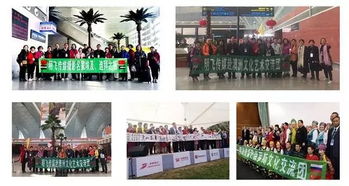 中国明飞传媒组织名画家走进埃及 文化交流圆满成功